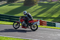 cadwell-no-limits-trackday;cadwell-park;cadwell-park-photographs;cadwell-trackday-photographs;enduro-digital-images;event-digital-images;eventdigitalimages;no-limits-trackdays;peter-wileman-photography;racing-digital-images;trackday-digital-images;trackday-photos